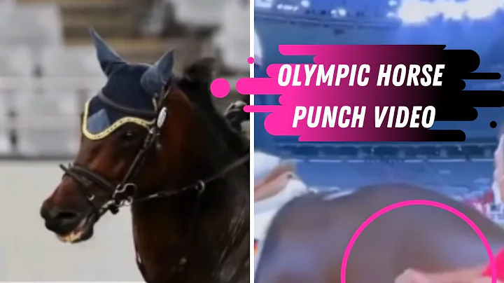 Horse Gets Punched By German Coach At The Tokyo Olympics In Modern Pentathlon - DayDayNews