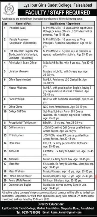 aktuelle jobs in msh