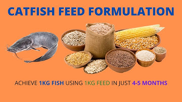 Catfish Feed Formulation: PART 1