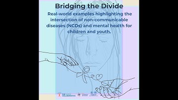 Bridging the Divide Case Studies Video