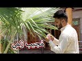 Aam Olas Ep 1605 Mujeeb Zalmay مجیب زلمي 