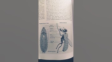 iGenetics A Molecular Approach Book Unboxing and Review|Genetics best books|IIT JAM|CUET PG|TIFR