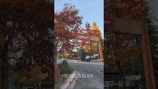 Famous Autumn in Big Bear Lake, at the Village #bigbearwaypoint #bigbear #bigbearlake #bigbearguide #shorts Wealth