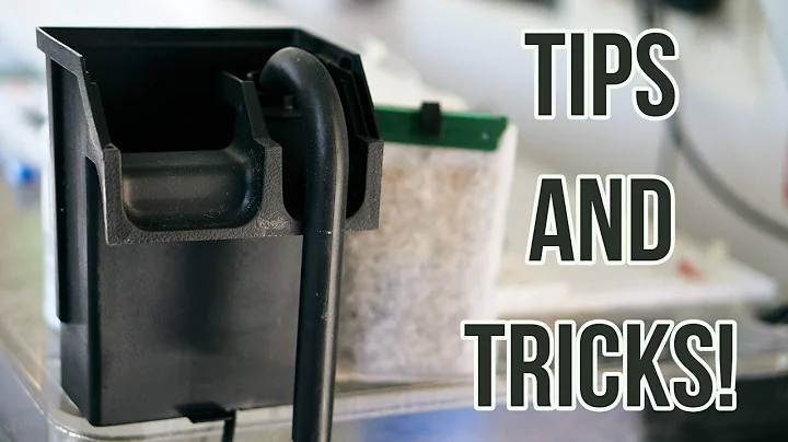 5 TIPS For Hang On back Filters!