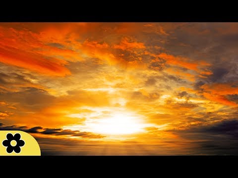 Music For Sleeping, Soothing Music, Stress Relief, Go To Sleep, Background Music, 8 Hours, ✿3163C