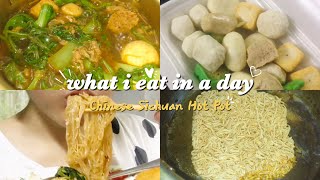 MUKBANG vlog ?? Soup Sichuan HotPot (What I Eat In A Day) | Ah Pi Yasi