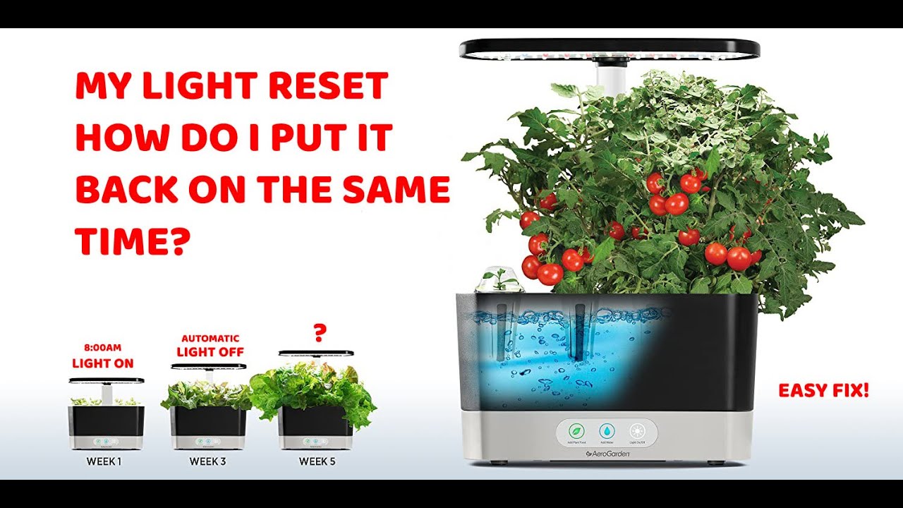 How To Reset Light On Aerogarden Update New Abettes culinary