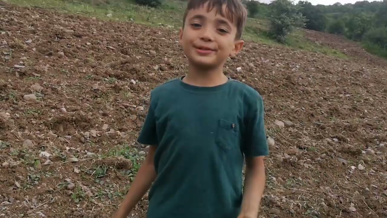 Yaylaya Çıktık. Mantar Topladık. Çoban Köpekleri