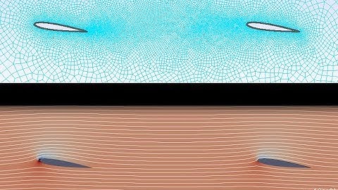 Tandem Wing Simulation