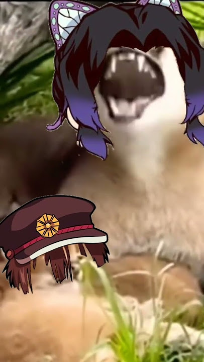 ¡moshi mosh! XD Shinobu Kocho y Amane Yugi(Hanako-kun) Edit, a hora ya se quien le enseño a Amane 🤣