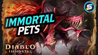More info about pets. : r/DiabloImmortal