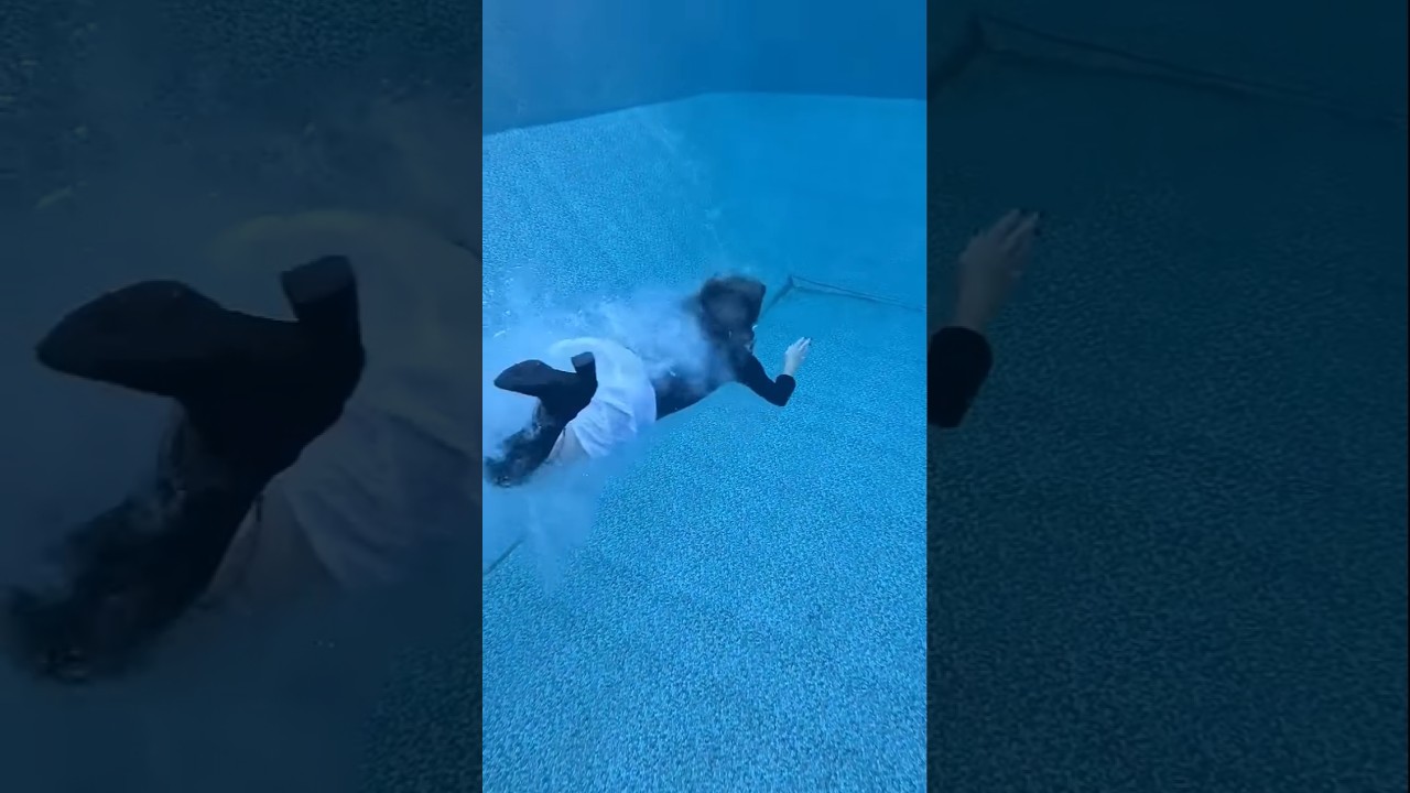 Watch #mermaid #waterslide #pool #trending #shorts on YouTube Watch #mermaid #waterslide #pool #trending #shorts on YouTube