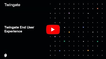 Twingate End User Experience