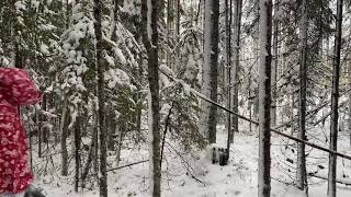 Приключение дедушки мороза в лесу!