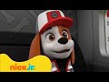 Patrulha Canina | Os Melhores Momentos de Todos os Tempos dos Filhotes e seu Caminhão! 🚒🐶 | Nick Jr.