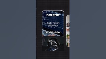 Linux netstat Command (Check Network Connections) #Shorts