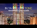 IN YA MELLOW TONE "TOKYO FM WORLD Vol.2" mixed by DJ AKAGI