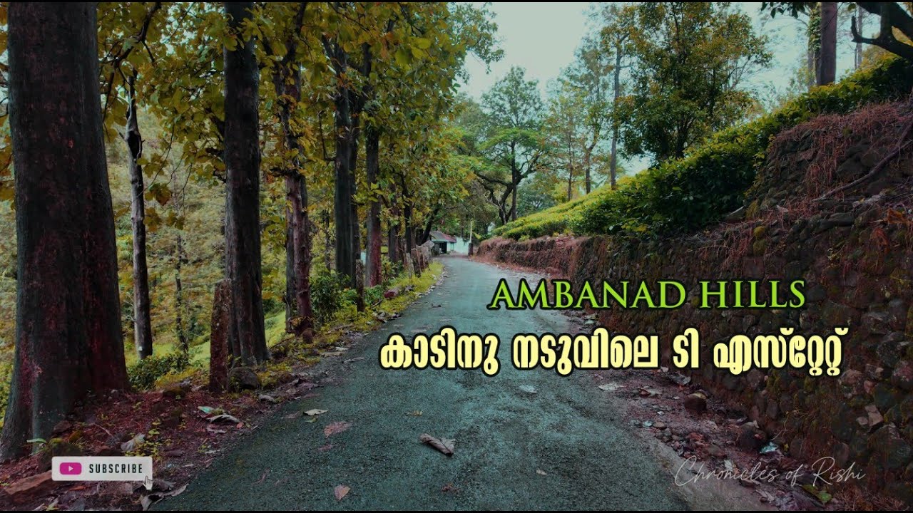 AMBANAD HILLS പോയി പണി പാളി😥#Ambanad#minimunnar#kollam
