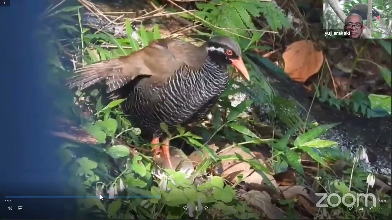 Birding Hotspots in Okinawa, Japan by Yuji Arakaki on Jan 21, 2022