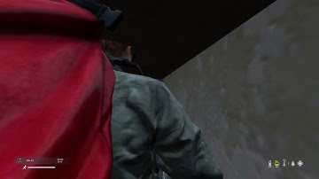 Dayz door glitch
