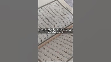 راتب النابلسي 🌺فضل قارئ القرآن