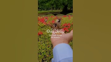 ربنا وتقبل دعاء | القارئ أحمد النفيس