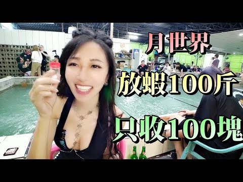 【 釣蝦女神系】月世界放百斤 居然只收100塊!!! 台湾のエビ Shrimp fishing in Taiwan