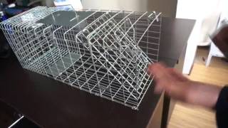 How To Assemble A Live Animal Trap