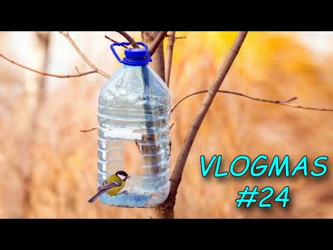 VLOGMAS #24 / Кормушка для птиц