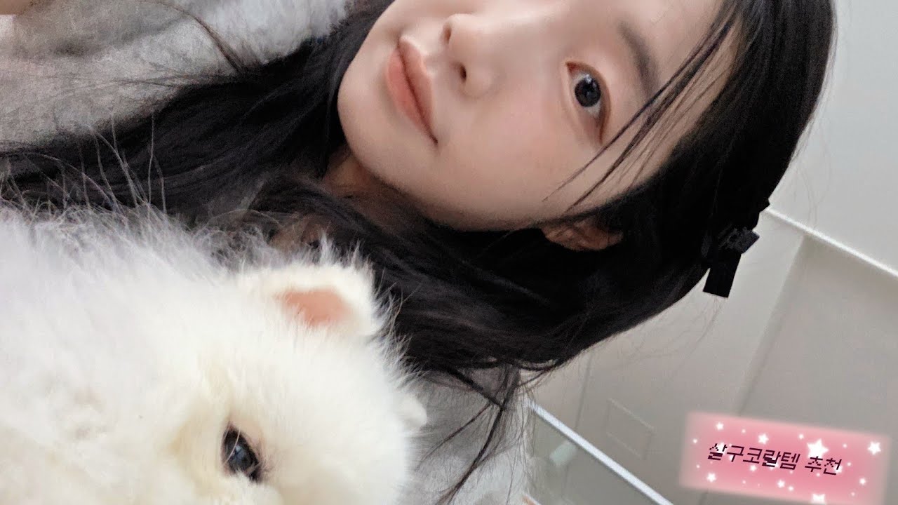 살구살구 좋아하는,,사람의 살구템 추천💫(feat.수다)