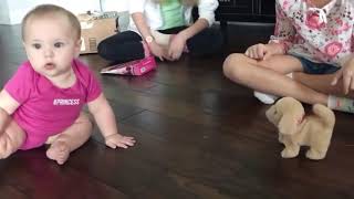 Funny Baby Videos Compilation