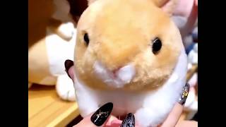 A Hamster That Can Shake Its Tail Toy