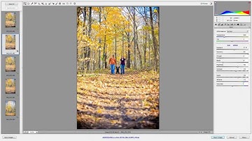 Adobe Camera Raw Tutorial: Workflow and Batch Editing