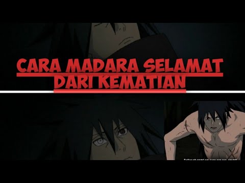 Video: Bagaimana madara selamat dari kematian melawan hashirama?