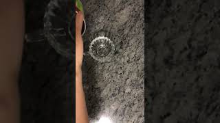 Celebrity 🌿 Latte art with a French press and Instant coffee ~ by Mandy Net Worth