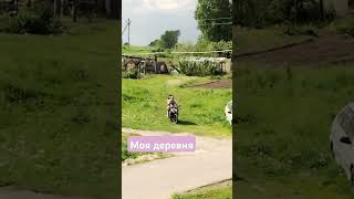 Ностальджи #мотовесна #катаемсяподеревне