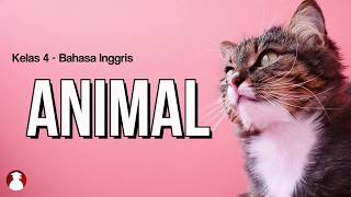 - kelas : 4 semester 1 judul animal penyaji chusnul hotimah, s.pd no.
hp 081216922234 email chusnul.ayunajmi@gmail.com asal sekolah s...