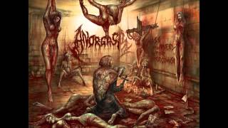 ANORGASM 'Penetrasi Senggama' from upcoming album Lord Of The Sick Recordings