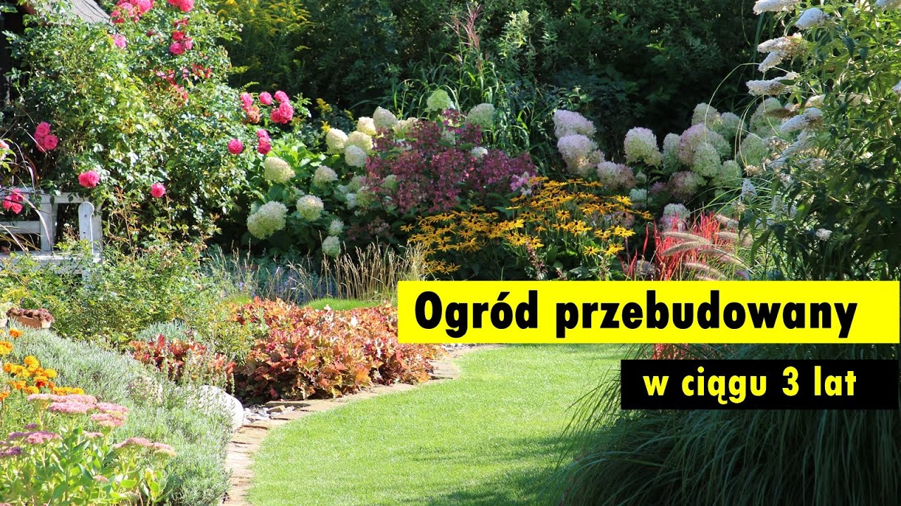Rustykalny, trawiasty ogród przebudowany w ciągu 3 lat