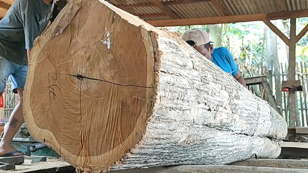 the process of sawing teak logs into frame blocks full of old and ...