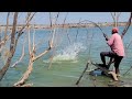 unique Fishing 🎣 8.260.kg. BiG Size Rohu Fishes to Catching Krishna River Fish Hunting