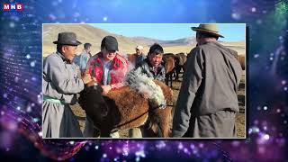 Facts About Mongolian Brand