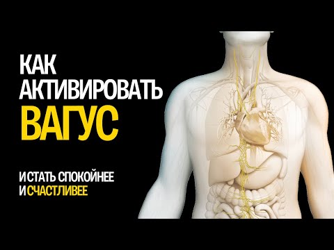 Как активировать блуждающий нерв? Стимуляция вагуса. Тонус блуждающего нерва