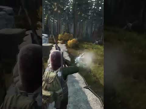 wolfs pack Dayz #gaming #playstation #dayz #livestream #wow #ps5  #dayzstandalone