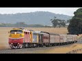 A & S Classes Race Through the Goldfields! (707 Operations' Grainlander ex-Quambatook) | A66, S306