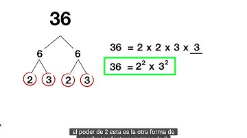 Prime Factorization With Exponents Spanish