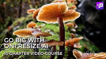 New Video Course! Go Big With ON1 Resize AI