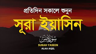 সূরা ইয়াসীন (سورة يس) | প্রতিদিন সকালে শুনুন | Surah Yaseen (Yasin) By ALAA AQEL