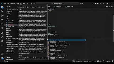 FLUTTER CAMERA ALLYZA A. 2301112120137