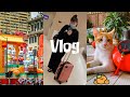 Vlog｜2023記錄生活｜隨便逛逛🇸🇬新加坡Chinatown｜提早收工回家等過年🧨｜忙碌の新年前一星期😮‍💨EP15